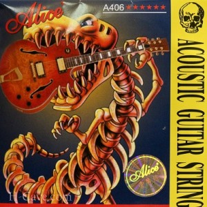 Acoustic Guitar Strings